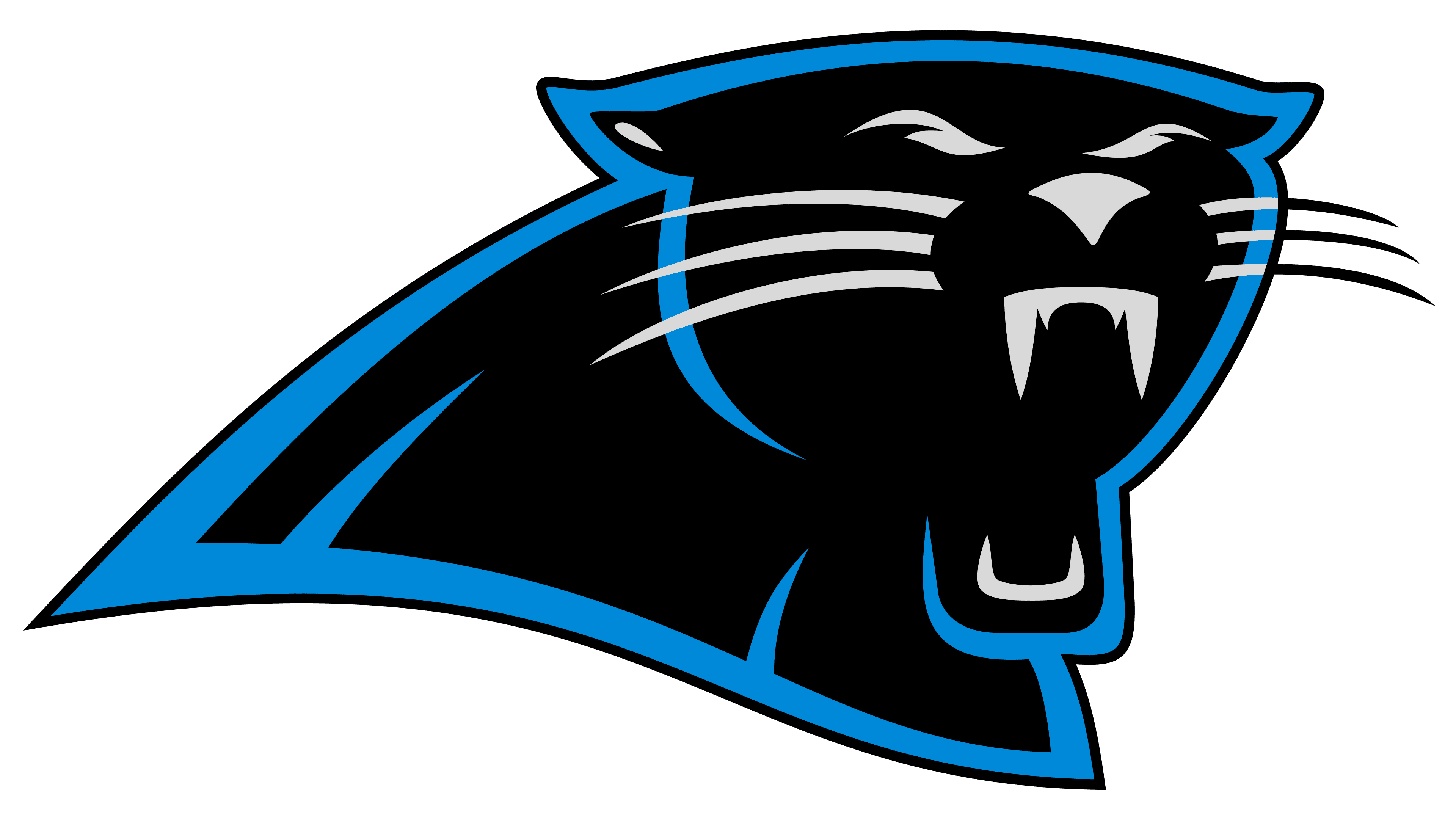 Carolina Panthers