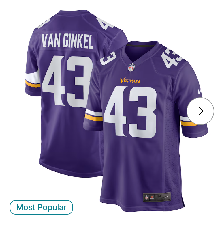Andrew Van Ginkel Minnesota Vikings Nike Team Game Jersey - Purple